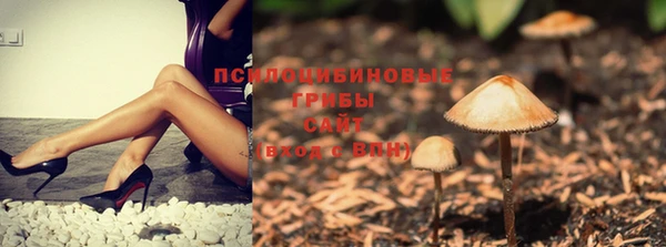 дурь Пересвет