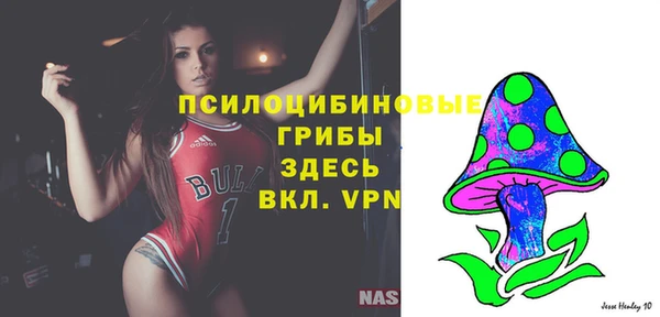 дурь Пересвет