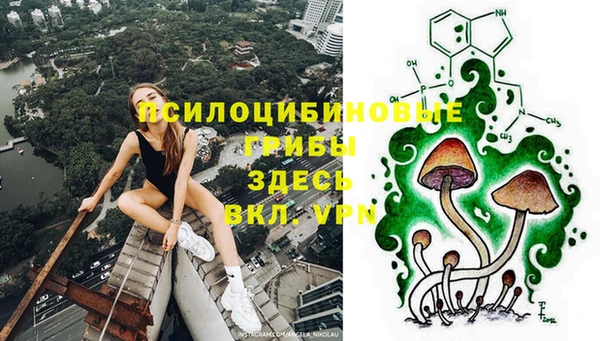 ГАЛЛЮЦИНОГЕННЫЕ ГРИБЫ Переславль-Залесский