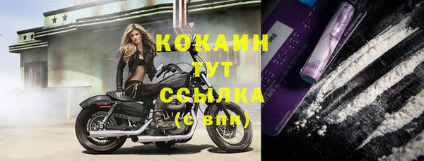 молекула духа Покачи
