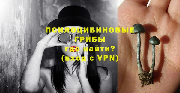 дурь Пересвет
