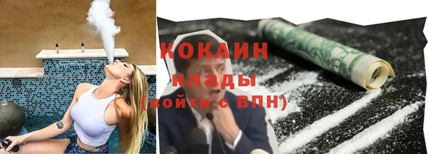 дурь Пересвет